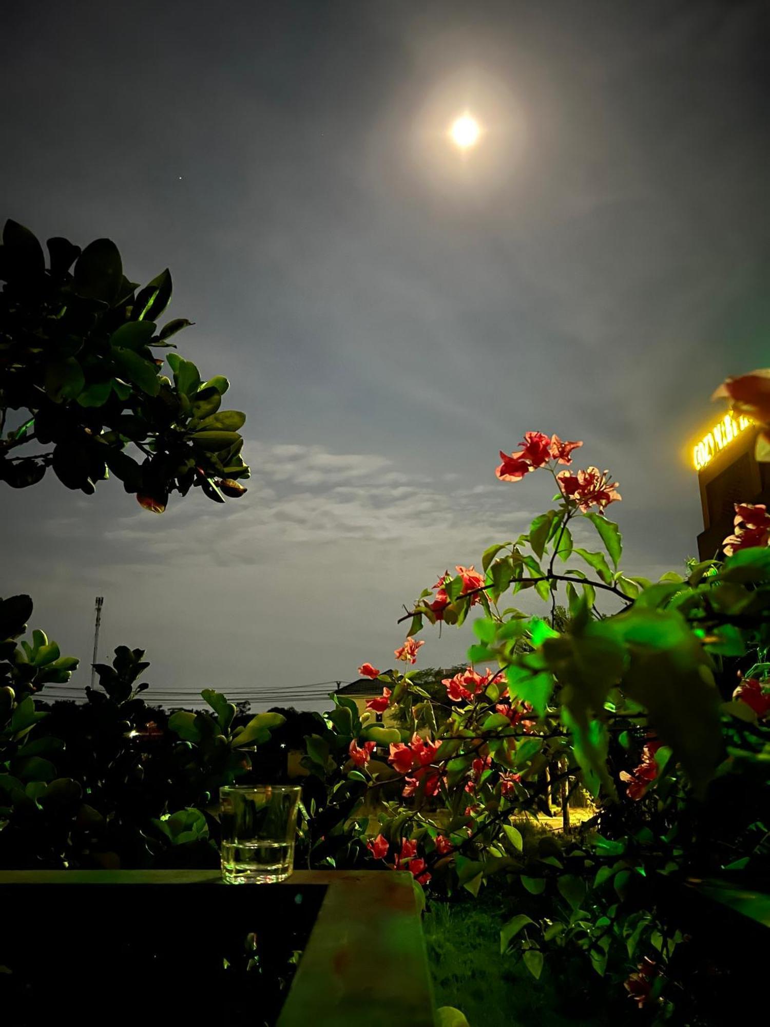 Tam Coc Golden Sun Villa Vu Lam Bagian luar foto